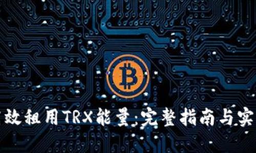 如何高效租用TRX能量：完整指南与实用技巧
