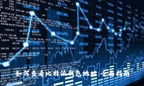 如何查看比特派钱包地址：全面指南