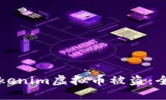 如何防止Tokenim虚拟币被盗：全面安全指南