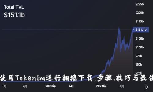 如何使用Tokenim进行翻墙下载:步骤、技巧与最佳实践