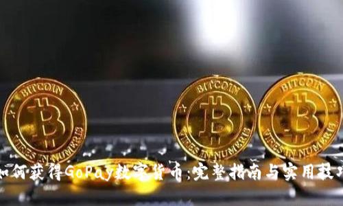 如何获得GoPay数字货币:完整指南与实用技巧