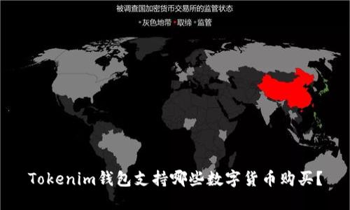 Tokenim钱包支持哪些数字货币购买？