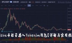 Kishu币能否存入Tokenim钱包？详解与实用指南